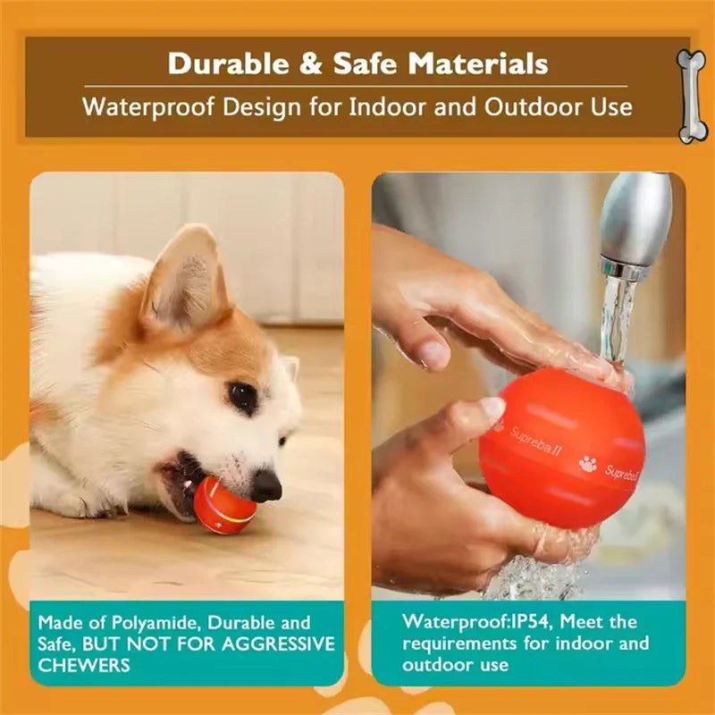 Interactive Electric Ball Toy: Automatic Fun for Dogs