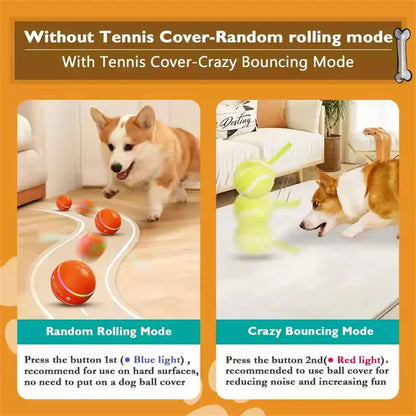 Interactive Electric Ball Toy: Automatic Fun for Pets